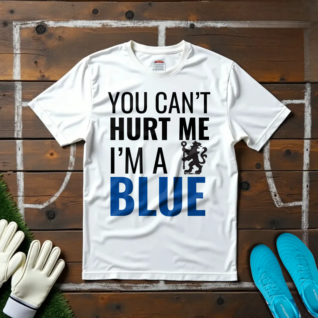 I'm a Blue T-shirt!