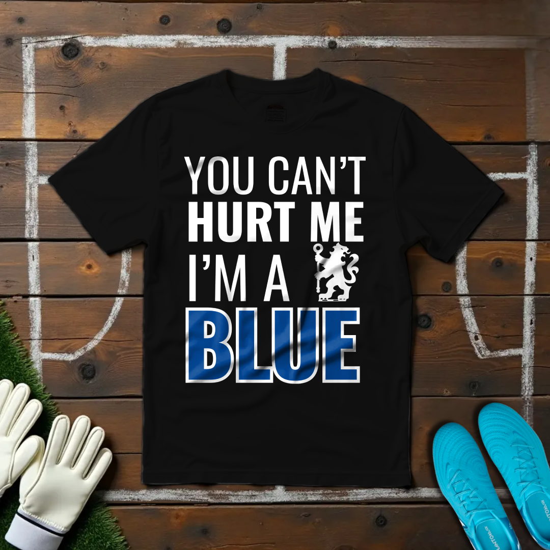 I'm a Blue T-shirt!