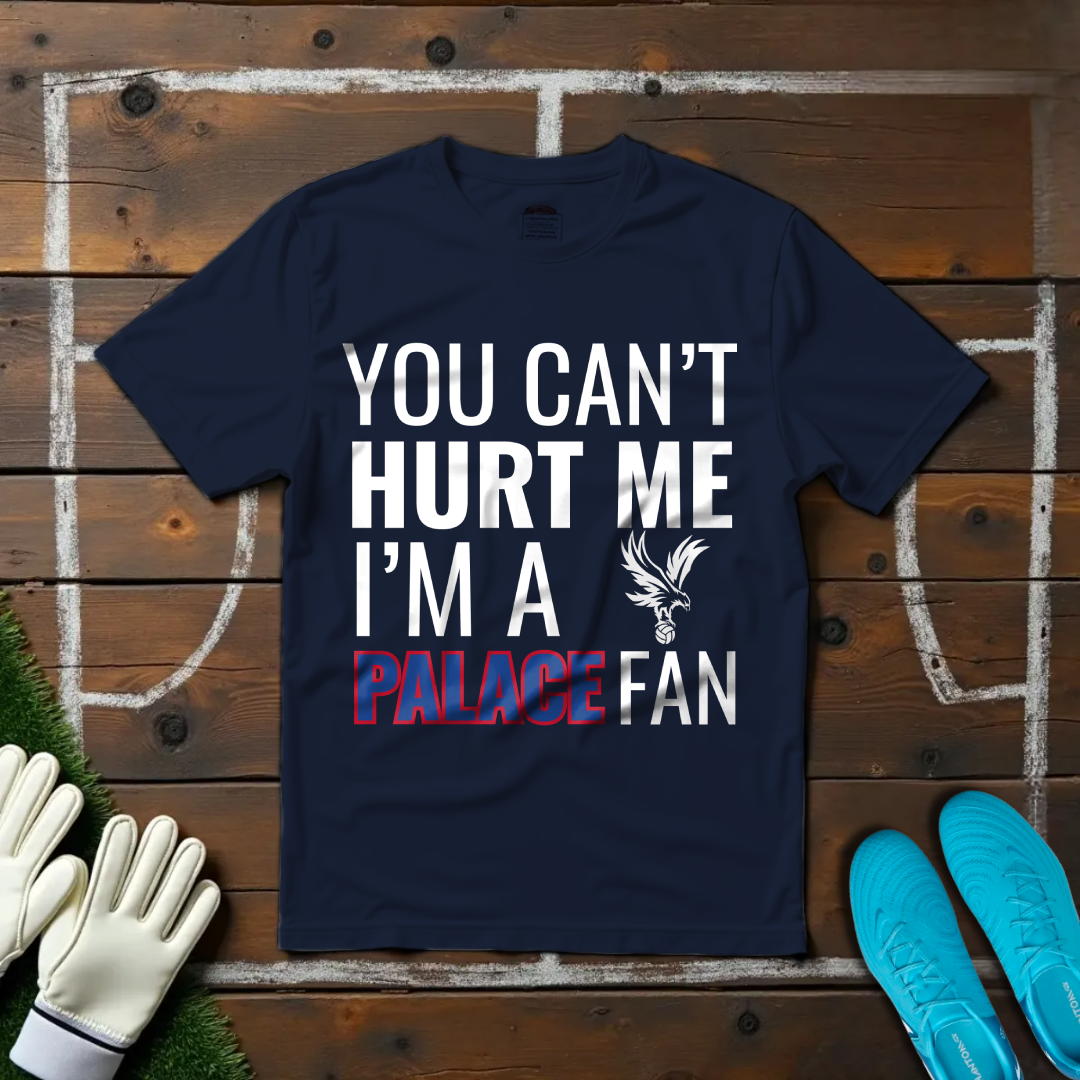 I'm a Palace Fan T-shirt!