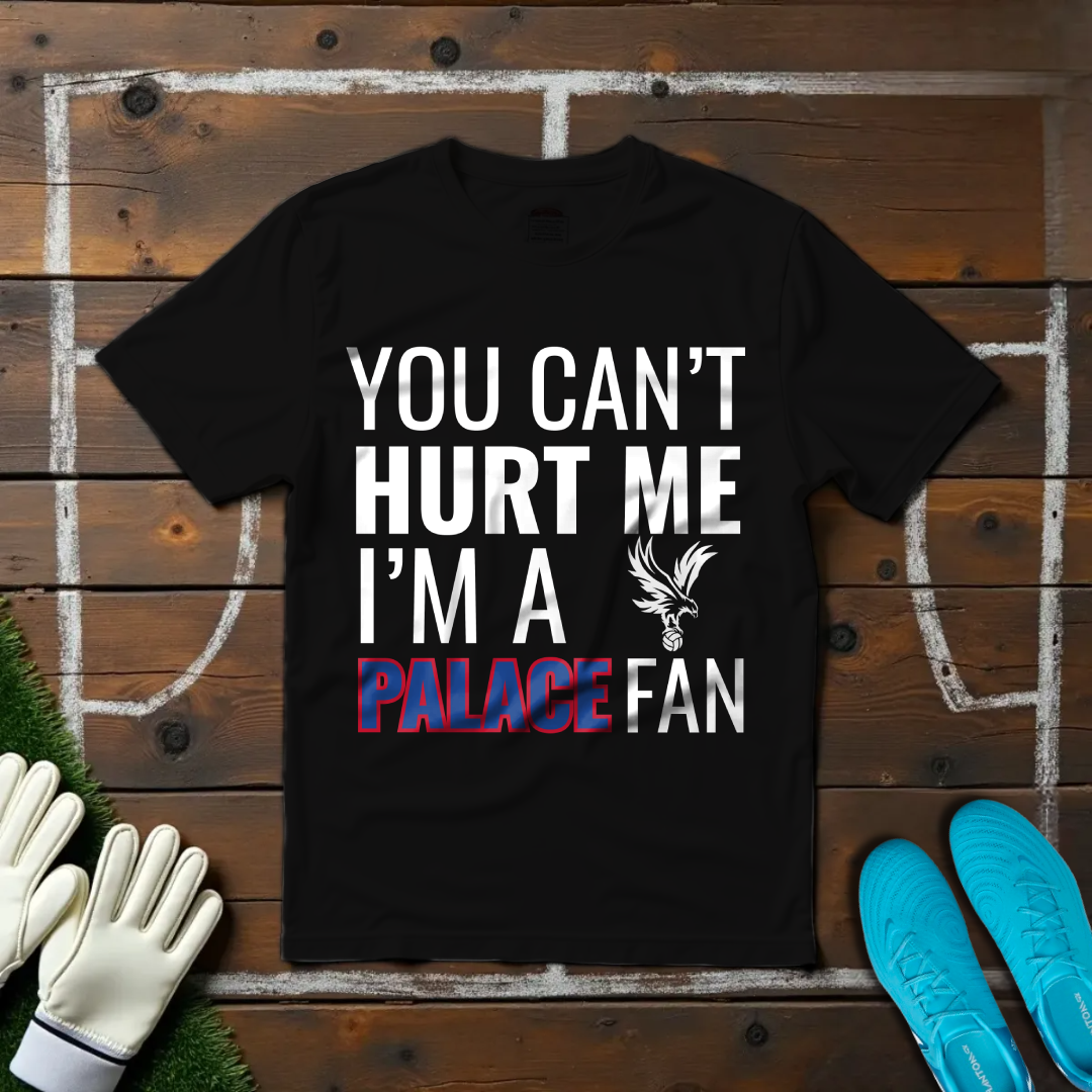 I'm a Palace Fan T-shirt!