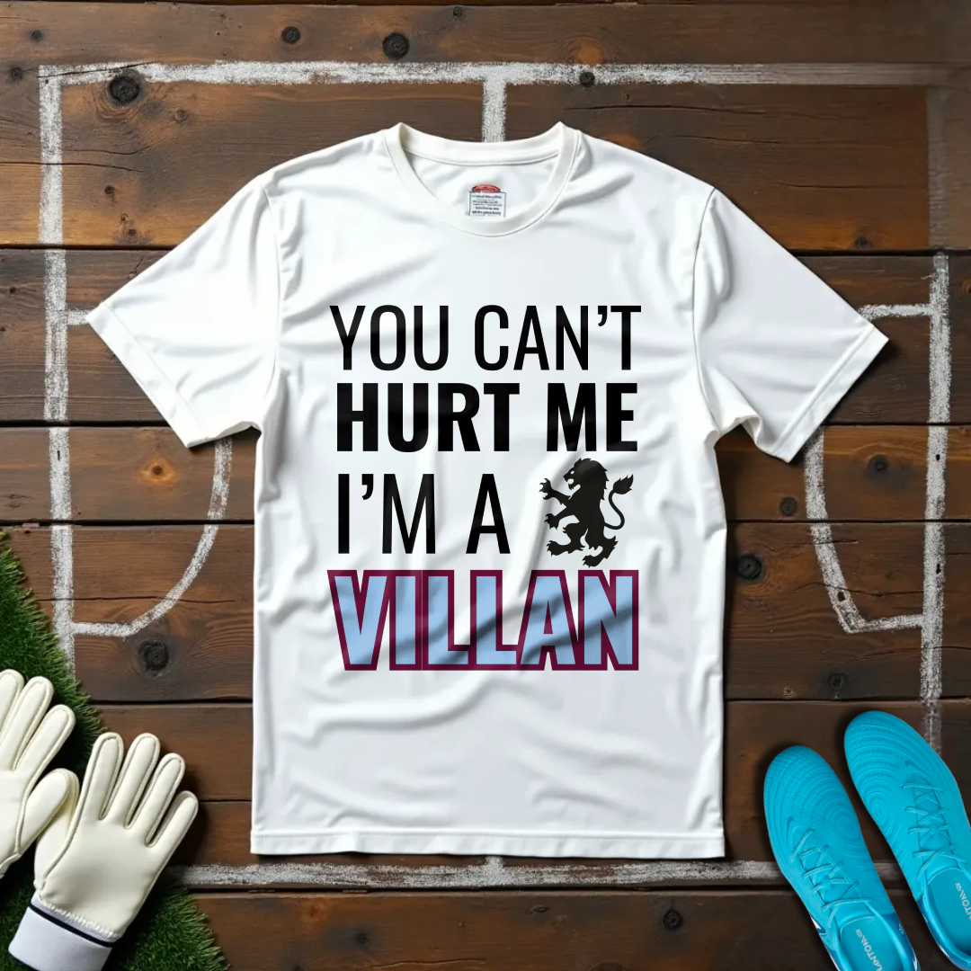 I'm a Villan T-shirt!
