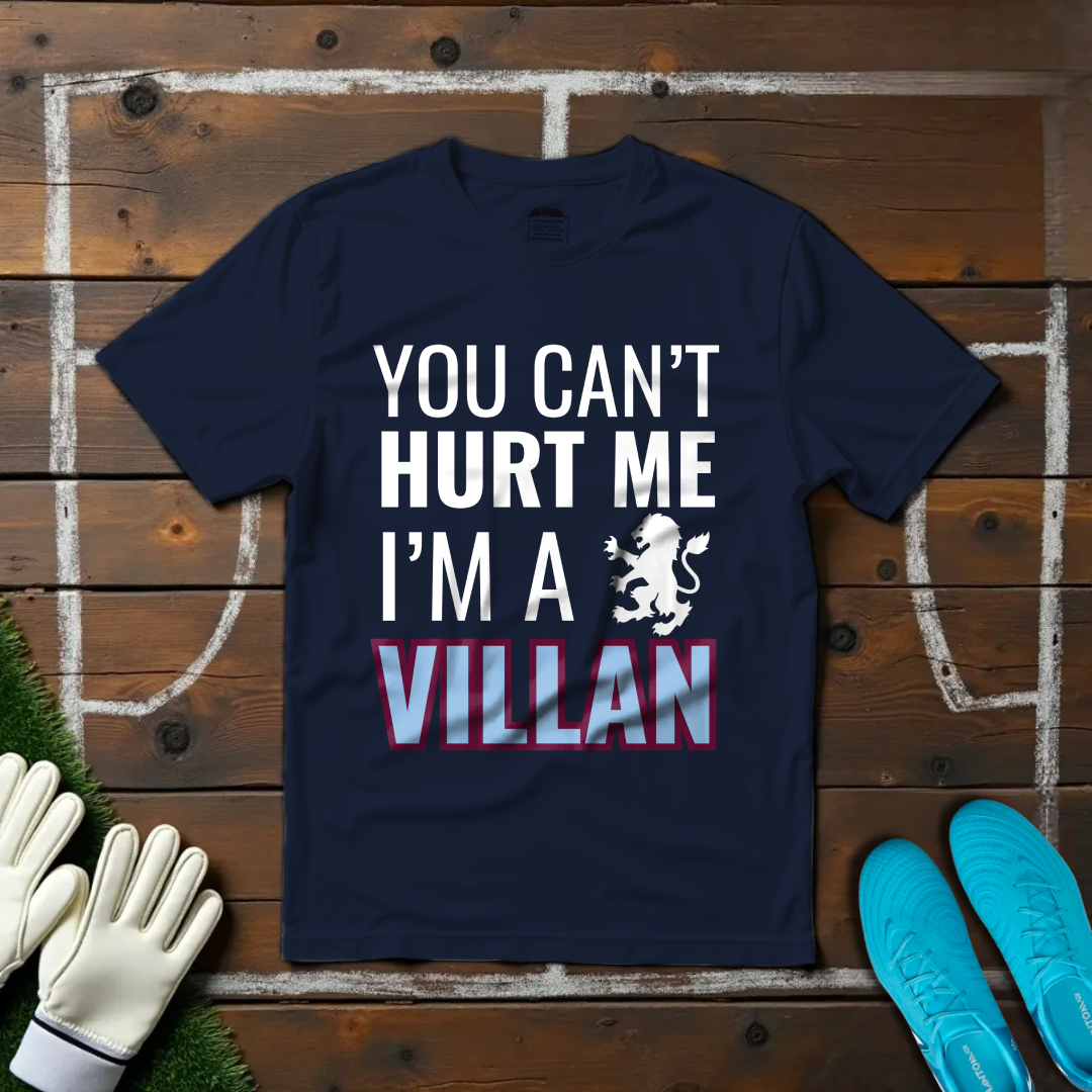 I'm a Villan T-shirt!