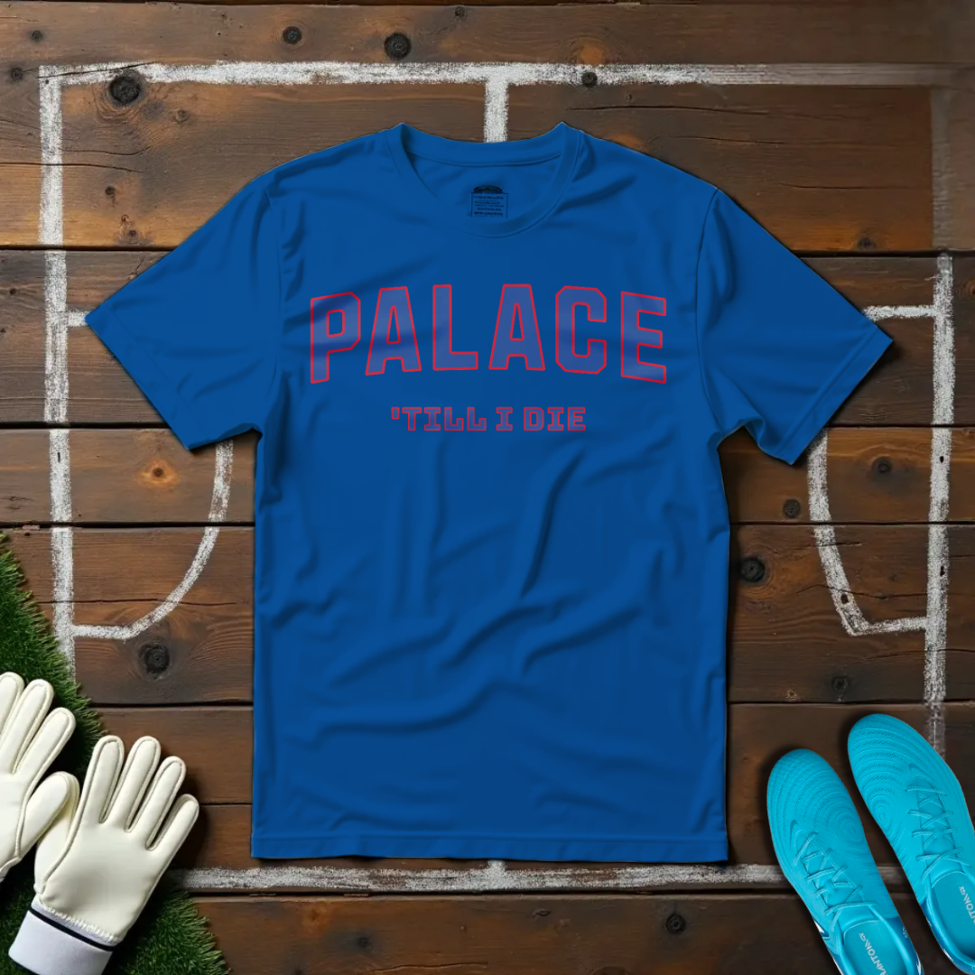 Palace 'Till I Die T-shirt!
