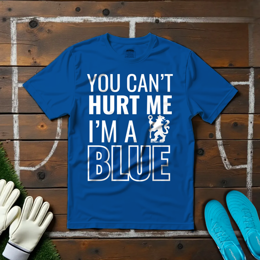 I'm a Blue T-shirt!