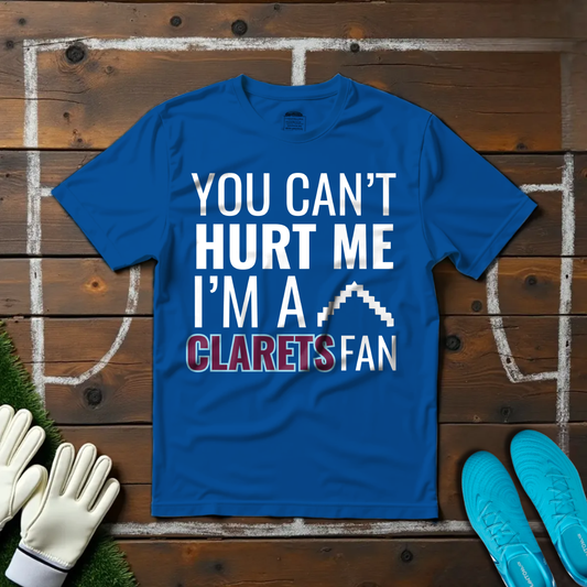I'm a Clarets Fan T-shirt!