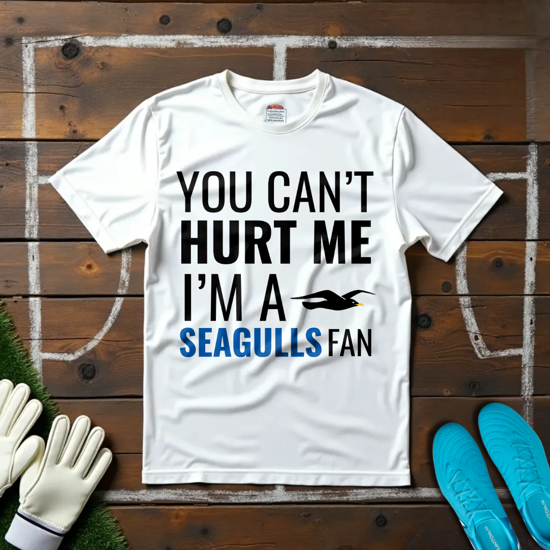 I'm a Seagulls Fan T-shirt!