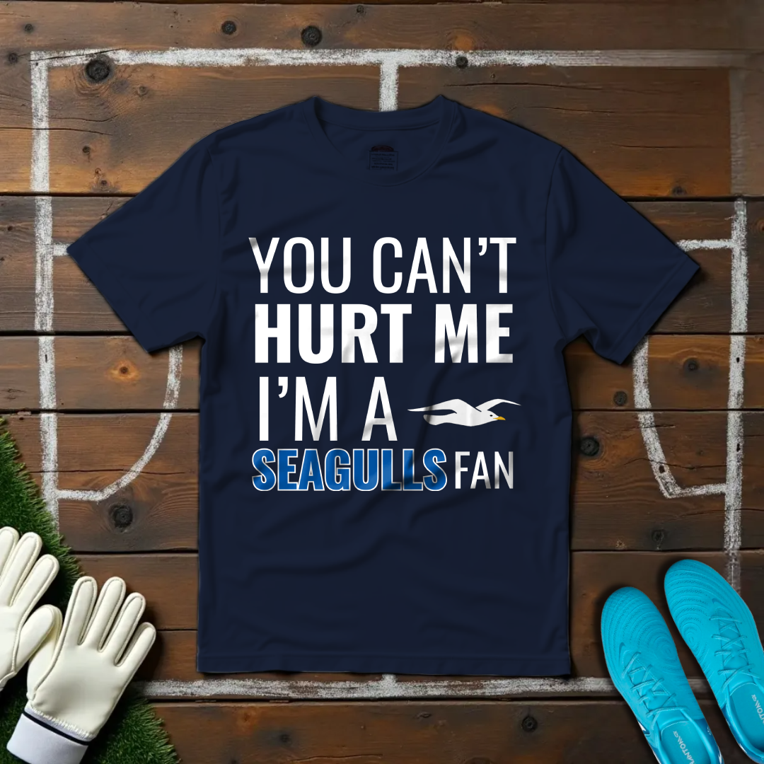 I'm a Seagulls Fan T-shirt!