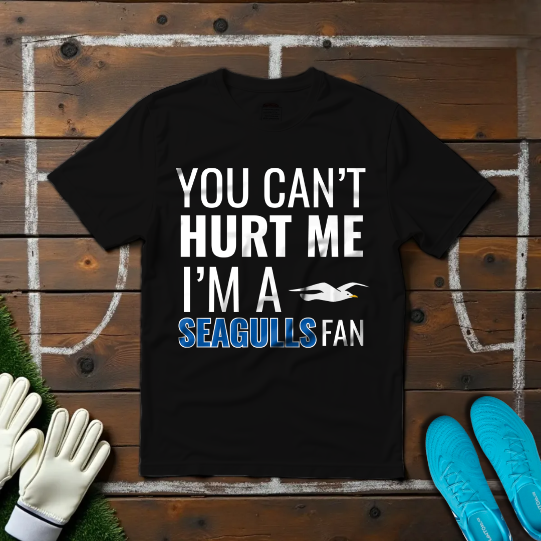 I'm a Seagulls Fan T-shirt!