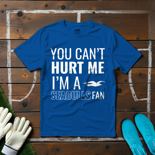 I'm a Seagulls Fan T-shirt!