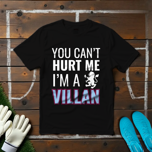I'm a Villan T-shirt!