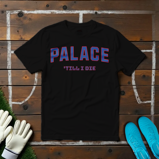 Palace 'Till I Die T-shirt!